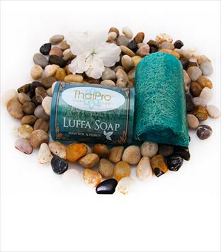Luffa Soap - Menthol and Honey