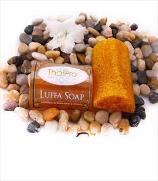 Luffa Soap - Tumeric Tamarind and Honey